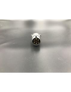 Stecker 7P 2