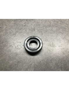 Bodenrolle PA6  100/ 45.4x21.5 2