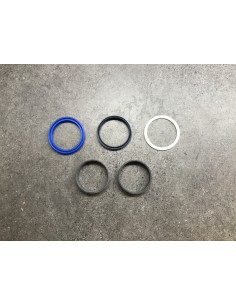 Dichtung BS für Hubzylinder...