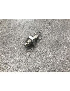 Rastbolzen mit Kontermutter