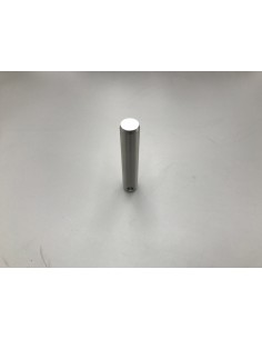 Bolzen 25x135 2